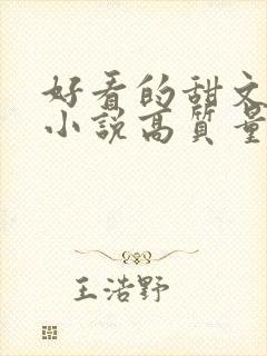 好看的甜文言情小说高质量文笔好