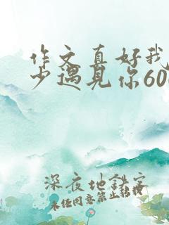 作文真好我在年少遇见你600字