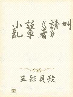 小说《请叫我混乱尊者》