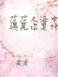 茫茫人海中让我遇见你是什么歌