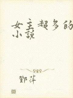 女主超多的后宫小说