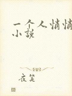 一个人悄悄看的小说