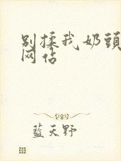 别揉我奶头嗯啊网站