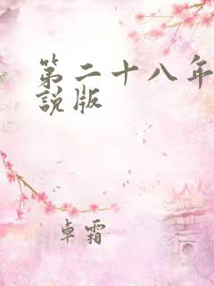 第二十八年春小说版