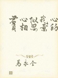 君心似我心定不负相思意的意思