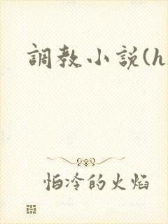 调教小说(h)