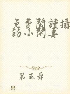 免费阅读摄政王的小闲妻