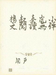 杨叔秦岚小说全文阅读无弹窗