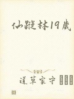 仙踪林19岁