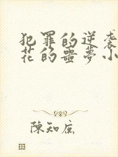 犯罪的逆袭和警花的噩梦小说