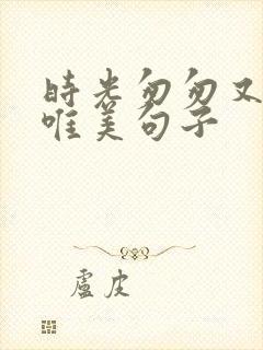 时光匆匆又一年唯美句子