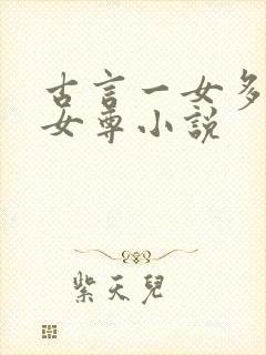 古言一女多夫非女尊小说