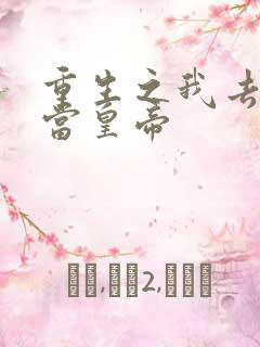 重生之我去大宋当皇帝