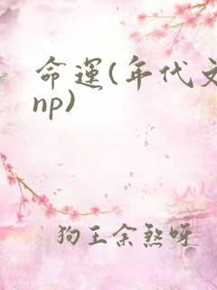 命运(年代文,np)