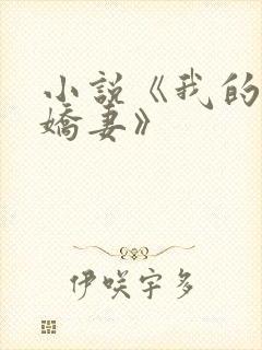 小说《我的倾城娇妻》