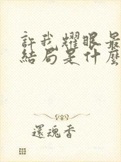 许我耀眼最后大结局是什么