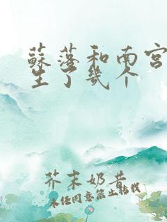 苏落和南宫流云生了几个