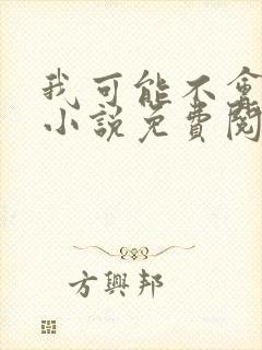 我可能不会爱你小说免费阅读