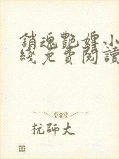 销魂艳婢小说在线免费阅读