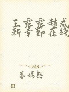 王露露赵成则最新章节在线阅读