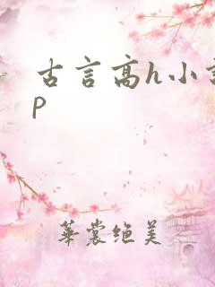 古言高h小说np