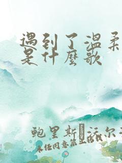 遇到了温柔的你是什么歌