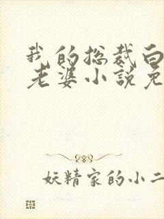 我的总裁白富美老婆小说免费读