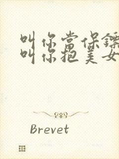 叫你当保镖,没叫你抱美女的小说全集