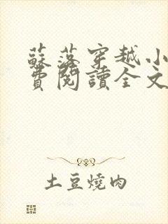 苏落穿越小说免费阅读全文