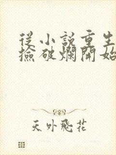 从小说重生:从捡破烂开始当首富小说