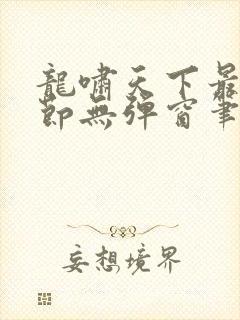 龙啸天下最新章节无弹窗笔趣阁