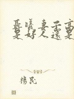 聂曦妻子高秀美是好人还是坏人