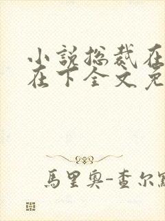 小说总裁在上我在下全文免费阅读