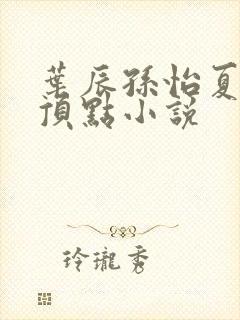 叶辰孙怡夏若雪顶点小说