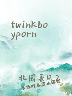 twinkboyporn