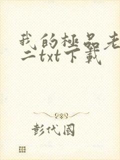 我的极品老婆小二txt下载