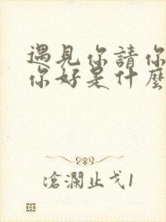 遇见你请你先说你好是什么歌