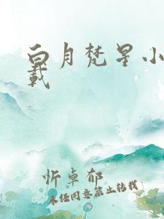 白月梵星小说下载