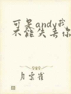 可是andy我不能失去你是什么歌