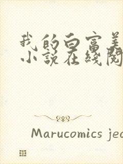 我的白富美老婆小说在线阅读