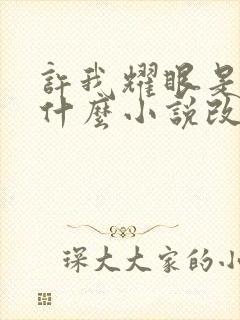 许我耀眼是根据什么小说改编