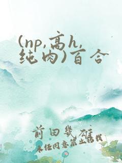 (np,高h,纯肉)百合