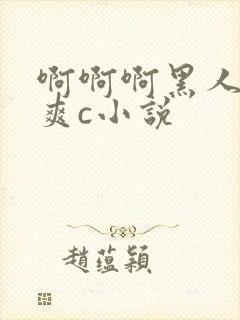 啊啊啊黑人快点爽c小说