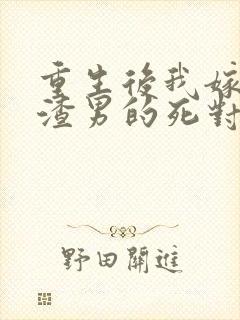 重生后我嫁给了渣男的死对头无弹窗