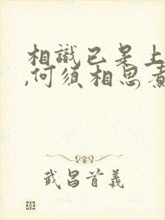 相识已是上上签,何须相思煮余年