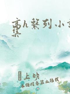 高h系列小说合集