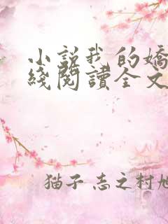 小说我的娇妻在线阅读全文