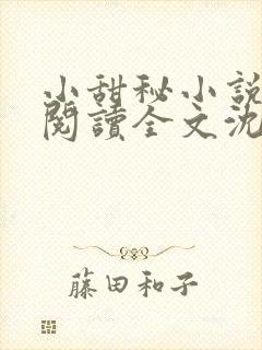 小甜秘小说免费阅读全文沈谧