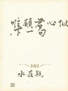 唯愿君心似我心,下一句