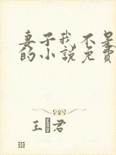 妻子我不是故意的小说免费阅读